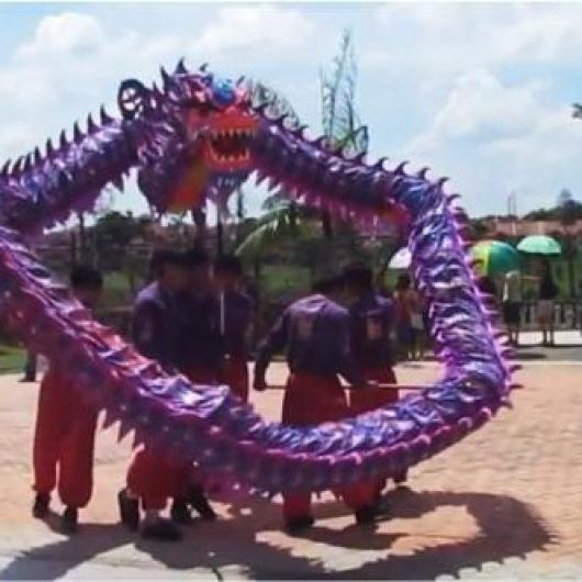 Lion dance performance service